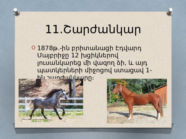 11․Շարժանկար 1878թ․-ին բրիտանացի Էդվարդ Մայբրիջը 12 խցիկներով լուսանկարեց մի վազող ձի, և այդ պատկերների միջոցով ստացավ 1-ին շարժանկարը։ 