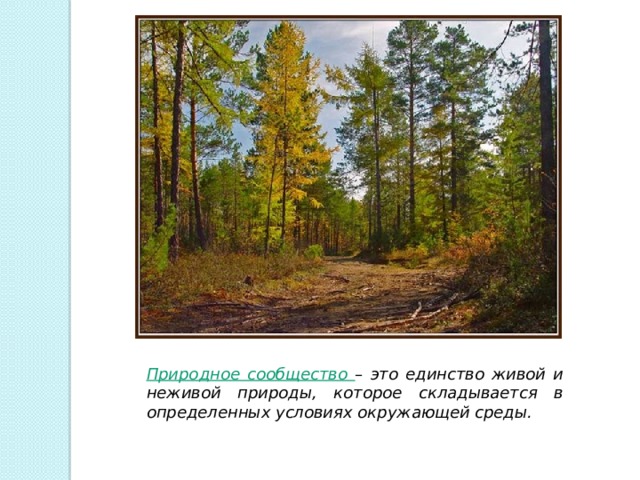 Природное сообщество – это единство живой и неживой природы, которое складывается в определенных условиях окружающей среды. 