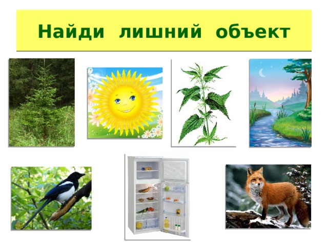 Найди лишний объект 