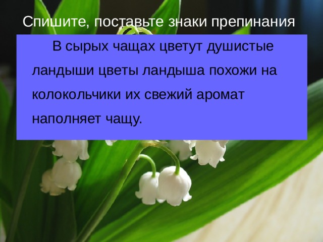 В лесу цветут душистые ландыши составить схему предложения 2 класс