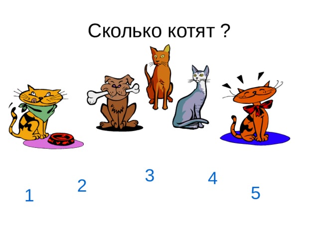 Сколько котика