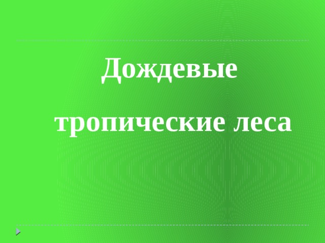 Дождевые  тропические леса 