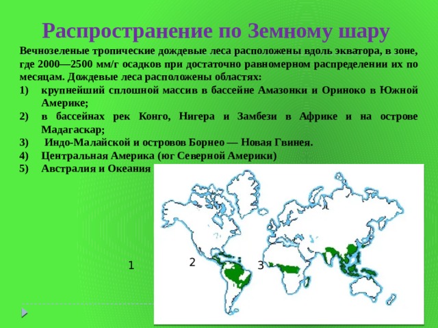 Распространение по Земному шару Вечнозеленые тропические дождевые леса расположены вдоль экватора, в зоне, где 2000—2500 мм/г осадков при достаточно равномерном распределении их по месяцам. Дождевые леса расположены областях: крупнейший сплошной массив в бассейне Амазонки и Ориноко в Южной Америке; в бассейнах рек Конго, Нигера и Замбези в Африке и на острове Мадагаскар;  Индо-Малайской и островов Борнео — Новая Гвинея. Центральная Америка (юг Северной Америки) Австралия и Океания  2 1 3 