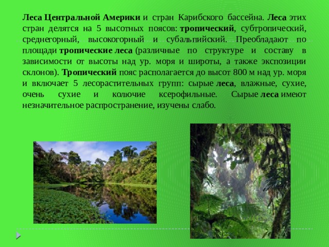 Леса   Центральной   Америки  и стран Карибского бассейна.  Леса  этих стран делятся на 5 высотных поясов:  тропический , субтропический, среднегорный, высокогорный и субальпийский. Преобладают по площади  тропические   леса  (различные по структуре и составу в зависимости от высоты над ур. моря и широты, а также экспозиции склонов).  Тропический  пояс располагается до высот 800 м над ур. моря и включает 5 лесорастительных групп: сырые  леса , влажные, сухие, очень сухие и колючие ксерофильные. Сырые  леса  имеют незначительное распространение, изучены слабо. 