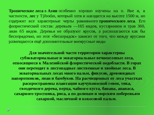 Тропические   леса  в  Азии  особенно хорошо изучены на о. Яве и, в частности,  лес  у Tjibodas, который хотя и находится на высоте 1500 м, но содержит все характерные черты равнинного  тропического   леса . Его флористический состав: деревьев —165 видов, кустарников и трав 360, лиан 65 видов. Деревья не образуют ярусов, а располагаются как бы беспорядочно, но этот «беспорядок» зависит от того, что между ярусами размещаются ещё дополнительные внеярусные виды Для значительной части территории характерны субэкваториальные и экваториальные вечнозеленые леса, относящиеся к Малезийской флористической подобласти. В горах они переходят в листопадные лиственные и хвойные леса. В экваториальных лесах много пальм, фикусов, древовидных папоротников, лиан и бамбуков. На расчищенных от леса участках распространены плантации каучуконосной гевеи, тика, гвоздичного дерева, перца, чайного куста, банана, ананаса, сахарного тростника, риса, а по долинам и морским побережьям сахарной, масличной и кокосовой пальм. 