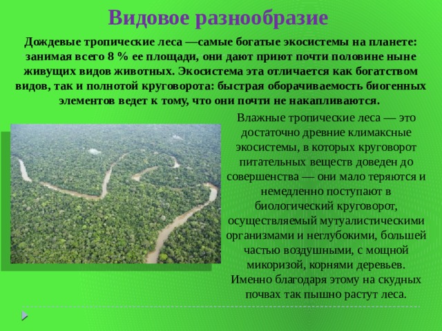 Видовое разнообразие Дождевые тропические леса —самые богатые экосистемы на планете: занимая всего 8 % ее площади, они дают приют почти половине ныне живущих видов животных. Экосистема эта отличается как богатством видов, так и полнотой круговорота: быстрая оборачиваемость биогенных элементов ведет к тому, что они почти не накапливаются.  Влажные тропические леса — это достаточно древние климаксные экосистемы, в которых круговорот питательных веществ доведен до совершенства — они мало теряются и немедленно поступают в биологический круговорот, осуществляемый мутуалистическими организмами и неглубокими, большей частью воздушными, с мощной микоризой, корнями деревьев. Именно благодаря этому на скудных почвах так пышно растут леса. 