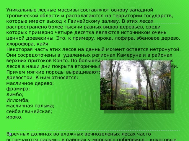 Уникальные лесные массивы составляют основу западной тропической области и располагаются на территории государств, которые имеют выход к Гвинейскому заливу. В этих лесах распространено более тысячи разных видов деревьев, среди которых примерно четыре десятка являются источником очень ценной древесины. Это, к примеру, ирока, лофира, эбеновое дерево, хлорофора, кайя. Некоторая часть этих лесов на данный момент остается нетронутой. Они сосредоточены в  удаленных регионах Камеруна и в районах верхних притоков Конго. По большей части, зона экваториальных лесов в наши дни покрыта вторичными и производными массивами. Причем мягкие породы выращиваются более активно, чем древостои. К ним относятся: масличное дерево; фрамирэ; лимбо; Илломба; масличная пальма; сейба гвинейская; ироко. В речных долинах во влажных вечнозеленых лесах часто встречаются пальмы, в районах у морского побережья – кокосовые рощи, а в районе илистых берегов океана – мангровые. 