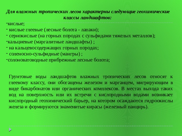 Для влажных тропических лесов характерны следующие геохимические классы ландшафтов: кислые;  кислые глеевые (лесные болота - лапаки);  сернокислые (на горных породах с сульфидами тяжелых металлов); кальциевые (маргалитные ландшафты) ;  на кальцевосодержащих горных породах;  соленосно-сульфидные (мангры) ; солоноватоводные прибрежные лесные болота; Грунтовые воды ландшафтов влажных тропических лесов относят к глеевому классу, они обогащены железом и марганцем, мигрирующим в виде бикарбонатов или органических комплексов. В местах выхода таких вод на поверхность или их встречи с кислородными водами возникает кислородный геохимический барьер, на котором осаждаются гидроокислы железа и формируются знаменитые кирасы (железный панцирь). 