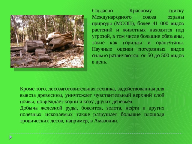 Согласно Красному списку Международного союза охраны природы (МСОП), более 41 000 видов растений и животных находятся под угрозой, в том числе большие обезьяны, такие как гориллы и орангутаны. Научные оценки потерянных видов сильно различаются: от 50 до 500 видов в день. Кроме того, лесозаготовительная техника, задействованная для вывоза древесины, уничтожает чувствительный верхний слой почвы, повреждает корни и кору других деревьев. Добыча железной руды, бокситов, золота, нефти и других полезных ископаемых также разрушает большие площади тропических лесов, например, в Амазонии. 