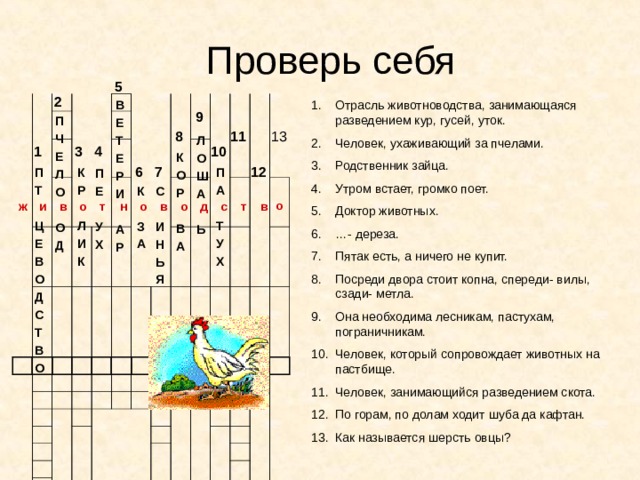 План рассказа о родственных связях между животными укажите место человека в живой природе