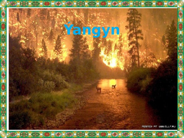 Ýangyn 