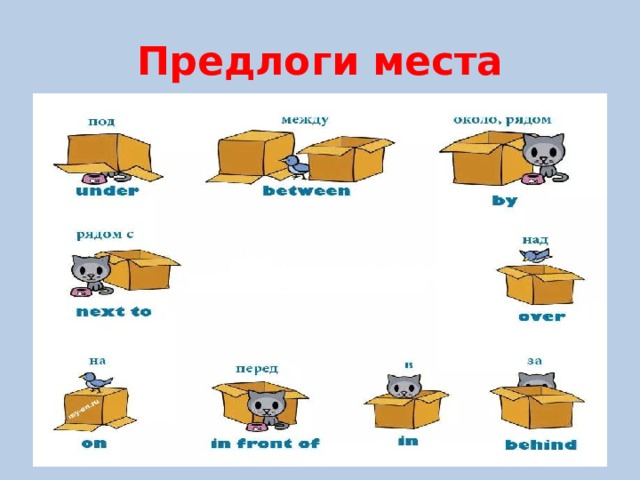 Позиция предлога в предложении