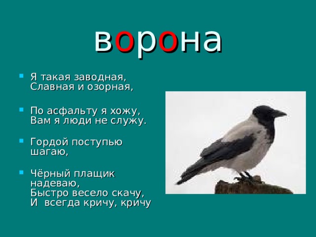 Полутемная зала третьего класса всегда переполненная людьми диктант