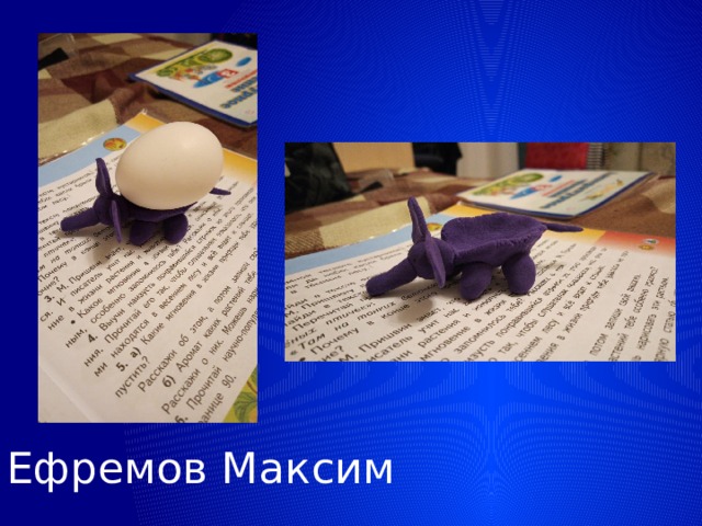 Ефремов Максим 
