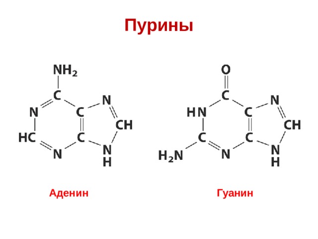 Схема таутомерных превращений гуанина - 88 фото