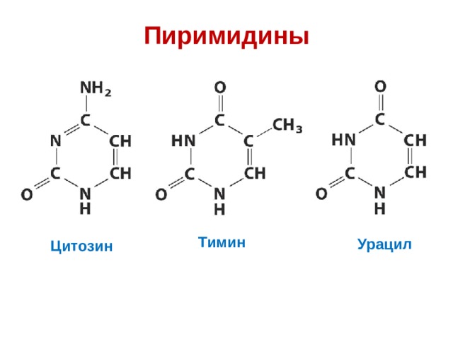 Урацил в днк