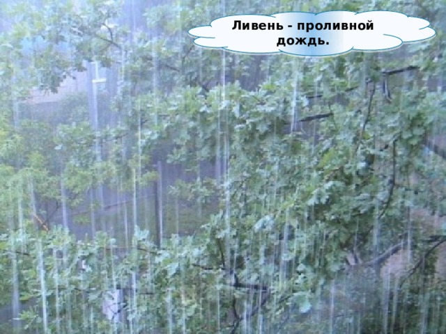 Ливень - проливной дождь. 
