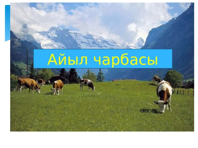 Айыл чарбасы 