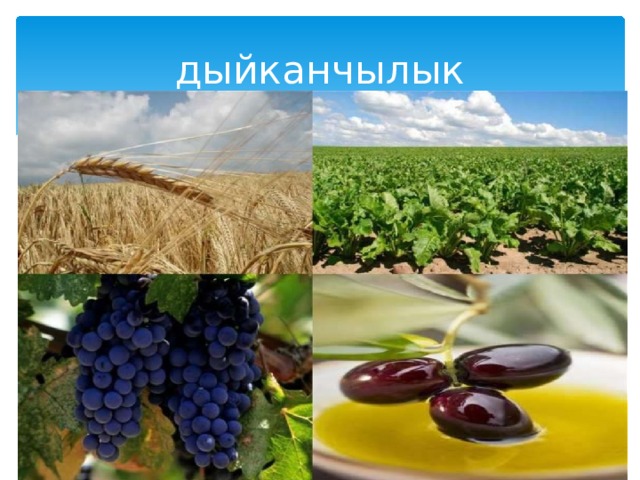 дыйканчылык 