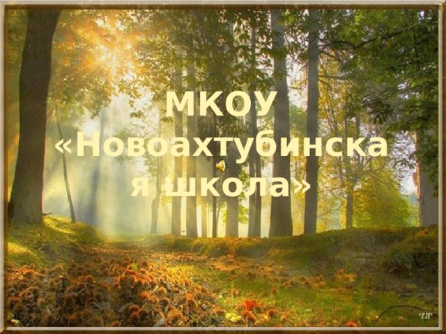 МКОУ «Новоахтубинская школа» 