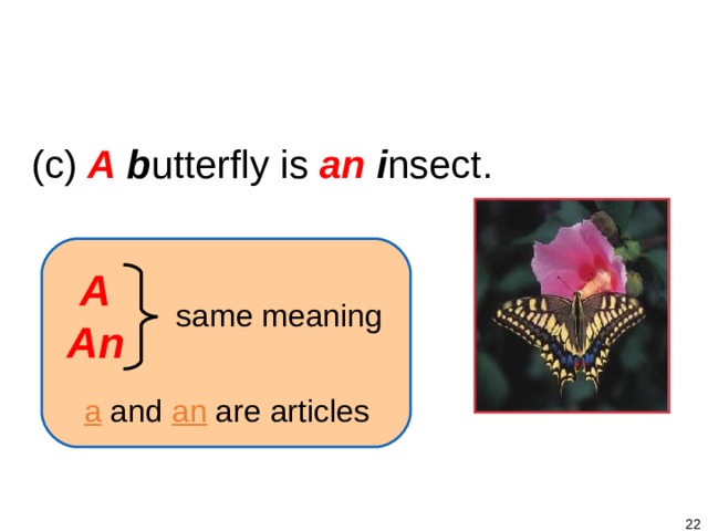 1-3 SINGULAR NOUNS + BE (c) A  b utterfly is an  i nsect.  A An same meaning a and an are articles   