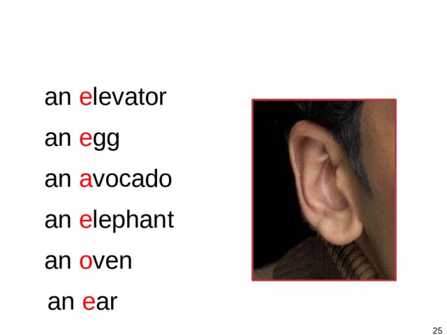 1-3 SINGULAR NOUNS + BE an e levator an e gg an a vocado an e lephant an o ven an e ar   