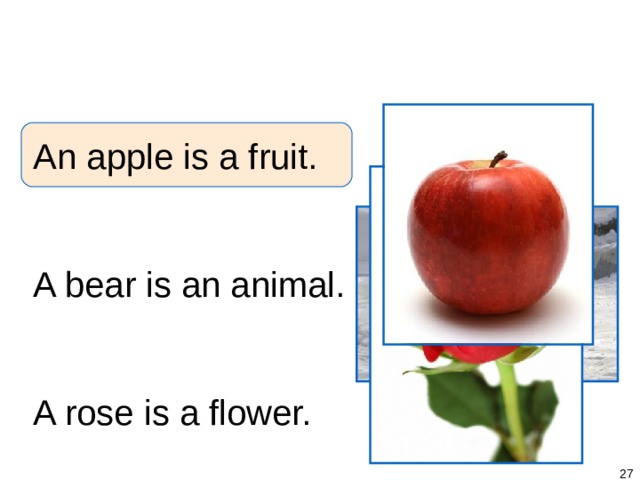 1-3 SINGULAR NOUNS + BE An apple is a fruit. A bear is an animal. A rose is a flower.   
