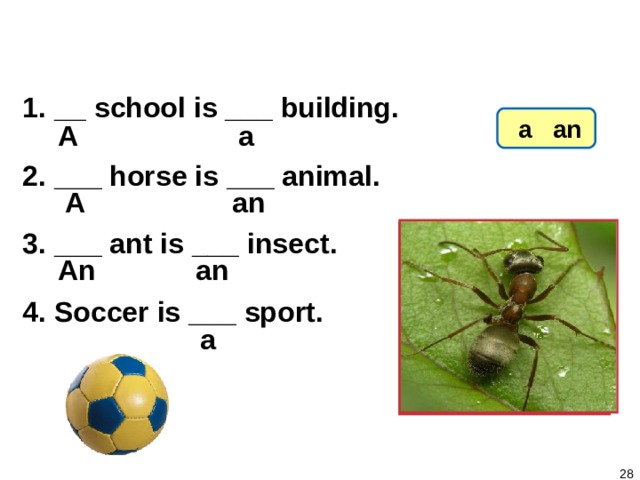 1-3 Let’s Practice  __ school is ___ building. 2. ___ horse is ___ animal. 3. ___ ant is ___ insect. 4. Soccer is ___ sport.  a an A a an A An an a   