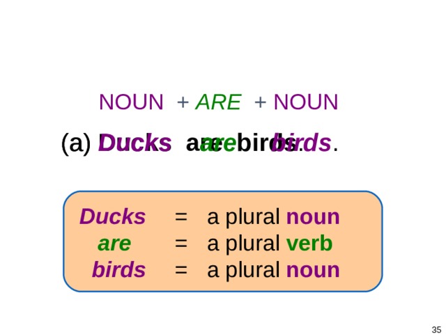 1-4 PLURAL NOUNS + BE NOUN + ARE + NOUN (a) Ducks are birds . (a) Ducks  are  birds .  Ducks   =  a plural  noun   are   =  a plural verb  birds   =  a plural  noun   