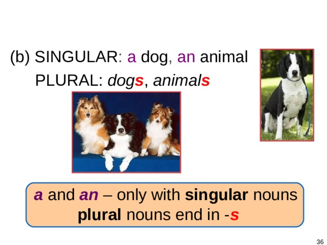 1-4 PLURAL NOUNS + BE (b) SINGULAR : a dog , an animal PLURAL: dog s , animal s  a  and  an  – only with singular nouns plural nouns end in - s   