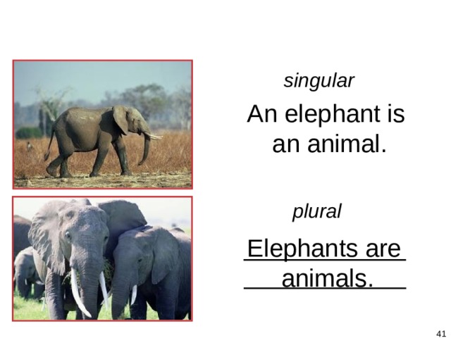 1-4 Let’s Practice singular An elephant is an animal. plural Elephants are animals.   