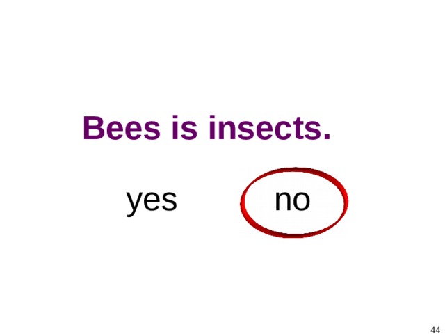 1-4 Let’s Practice Bees is insects.    no yes   