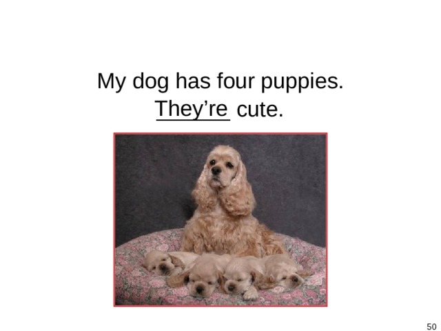 1-5 Let’s Practice My dog has four puppies. They’re ______  cute.   