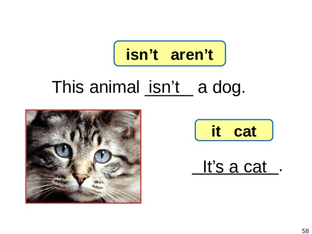 1-6 Let’s Practice isn’t aren’t isn’t This animal _____ a dog. it cat _________. It’s a cat   