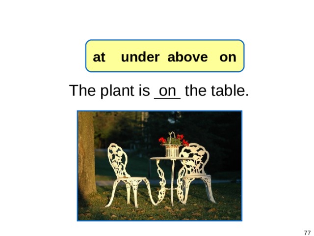 1-8 Let’s Practice at under above on on The plant is ___ the table.   