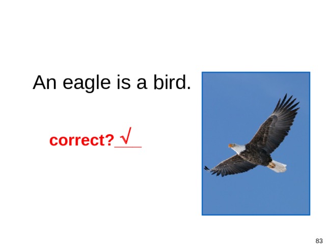 1-9 Let’s Practice An eagle is a bird.  correct?___   