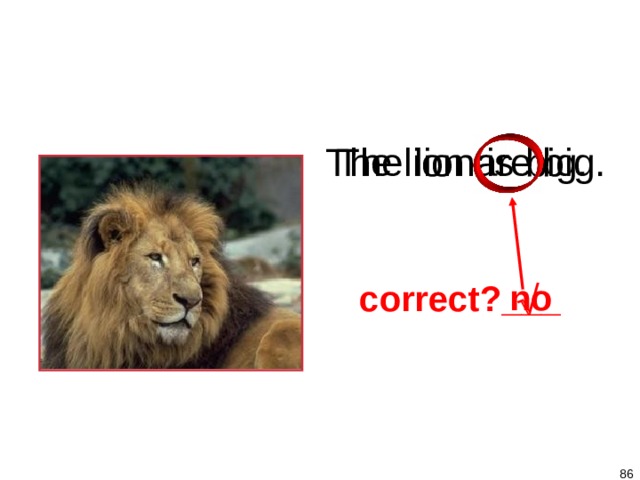 1-8 Let’s Practice The lion is big.  The lion are big. no correct?___    