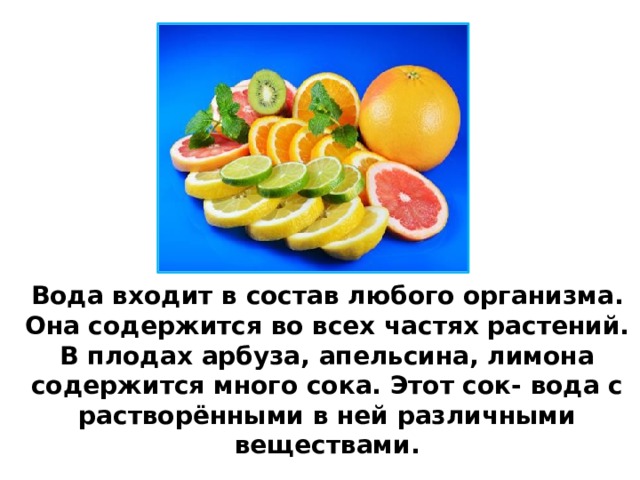 Вода входит в состав любого организма. Она содержится во всех частях растений. В плодах арбуза, апельсина, лимона содержится много сока. Этот сок- вода с растворёнными в ней различными веществами. 