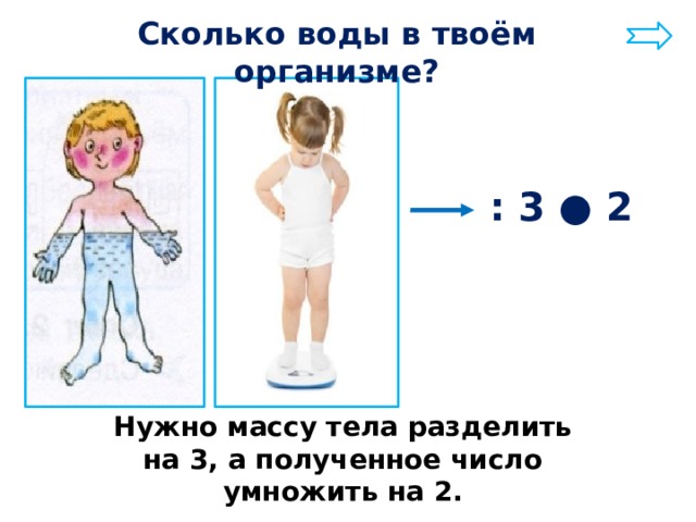 Сколько воды в твоём организме? : 3 ● 2 Нужно массу тела разделить на 3, а полученное число умножить на 2. 