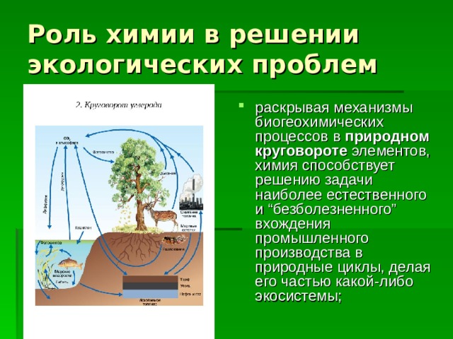 Роль химии в экологических проблемах сообщение