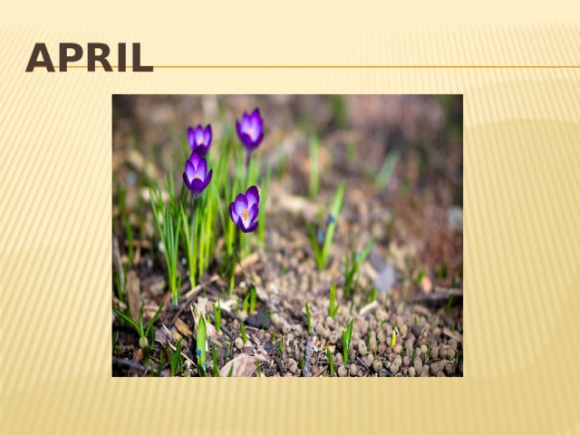 April 