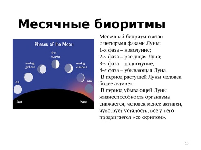 Что такое фазы луны нарисуйте схему основных 4 фаз и дайте название каждой фазе