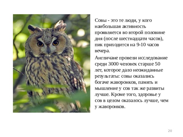 Совы - это те люди, у кого наибольшая активность проявляется во второй половине дня (после шестнадцати часов), пик приходится на 9-10 часов вечера. Англичане провели исследование среди 3000 человек старше 50 лет, которое дало неожиданные результаты: совы оказались богаче жаворонков, память и мышление у сов так же развиты лучше. Кроме того, здоровье у сов в целом оказалось лучше, чем у жаворонков.  
