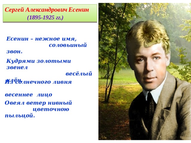 Сергей Александрович  Есенин  (1895-1925 гг.) Есенин – нежное имя,  соловьиный звон. Кудрями золотыми звенел  весёлый клён. Из солнечного ливня  весеннее лицо Овеял ветер нивный  цветочною пыльцой.   