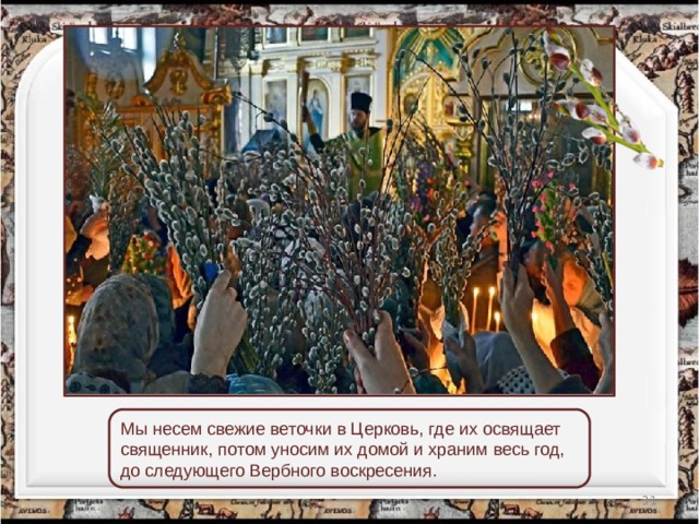 Мы несем свежие веточки в Церковь, где их освящает священник, потом уносим их домой и храним весь год, до следующего Вербного воскресения.  