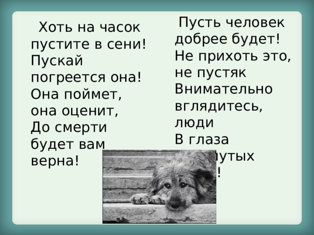  Пусть человек добрее будет!  Не прихоть это, не пустяк  Внимательно вглядитесь, люди  В глаза покинутых собак!  Хоть на часок пустите в сени!  Пускай погреется она!  Она поймет, она оценит,  До смерти будет вам верна! 