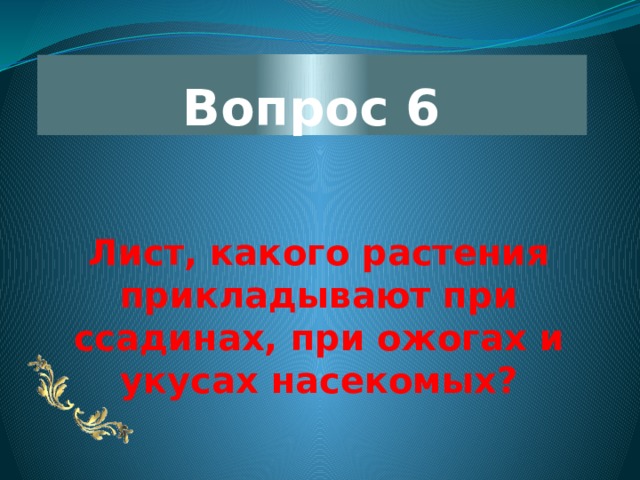 Вопрос 6 Лист, какого растения прикладывают при ссадинах, при ожогах и укусах насекомых? 