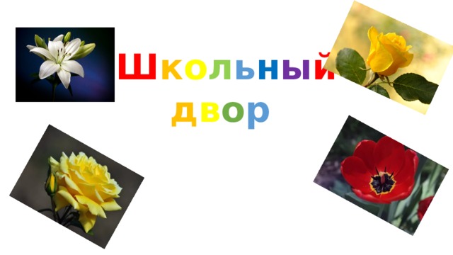 Ш к о л ь н ы й  д в о р  