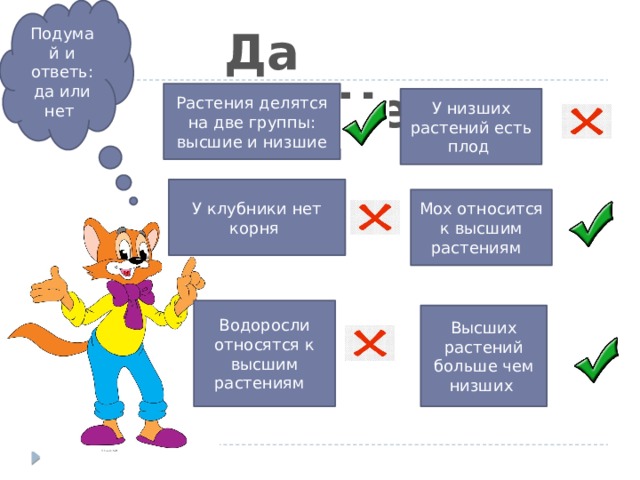 Что такое низшие и высшие растения 4 класс. Смотреть фото Что такое низшие и высшие растения 4 класс. Смотреть картинку Что такое низшие и высшие растения 4 класс. Картинка про Что такое низшие и высшие растения 4 класс. Фото Что такое низшие и высшие растения 4 класс