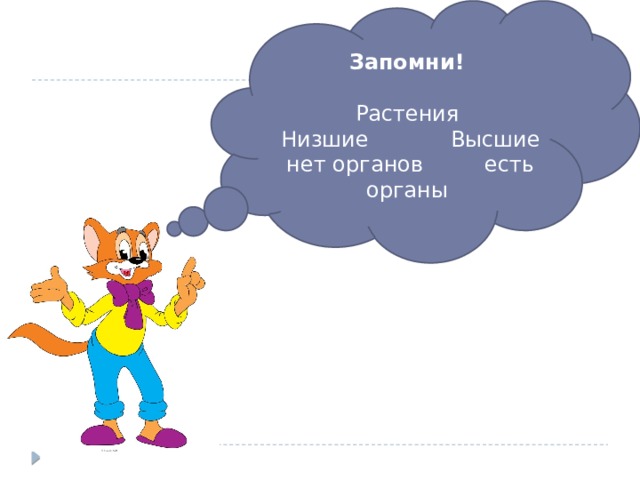 Что такое низшие и высшие растения 4 класс. Смотреть фото Что такое низшие и высшие растения 4 класс. Смотреть картинку Что такое низшие и высшие растения 4 класс. Картинка про Что такое низшие и высшие растения 4 класс. Фото Что такое низшие и высшие растения 4 класс